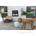 Nouveau style de conception Automatic Pet Waterer Bowl